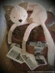 Mr.Fox