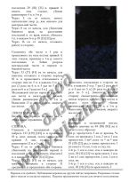 Mantellina_p2