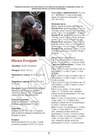 ����� � �������� �������� 1