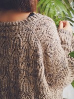 Пуловер с красивым узором спицами