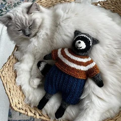 Вязаный енот спицами