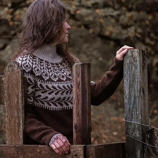 Вязаный спицами пуловер с жаккардовой кокеткой сверху Winter Hawthorn