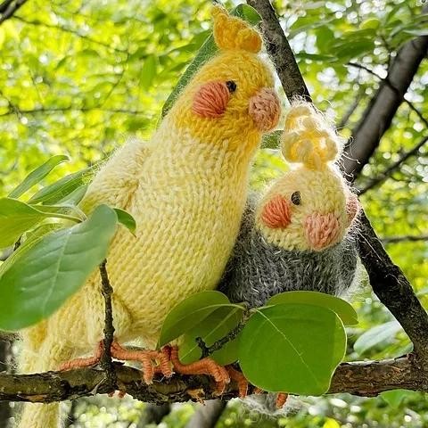 Вязаный спицами попугай Корелла Cockatiel