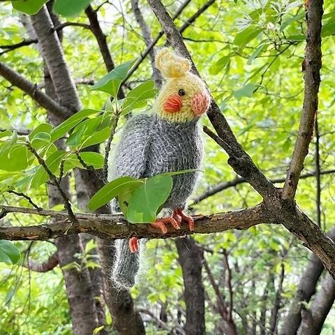 Вязаный спицами попугай