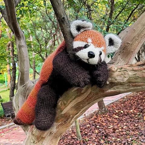 Красная панда спицами