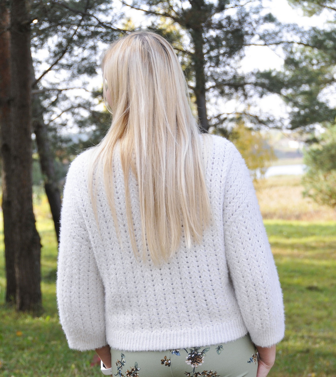 tilia 02