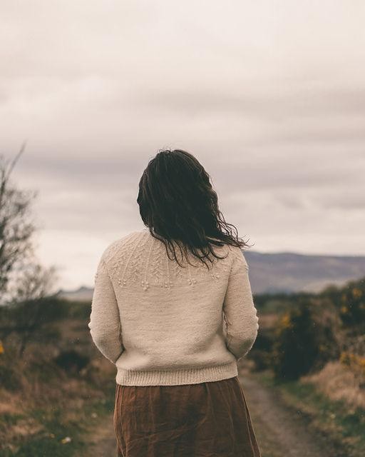 Джемпер с описанием