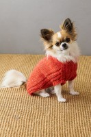 Вязаный спицами свитер на маленькую собачку