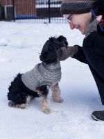Вязаный спицами свитер для собаки
