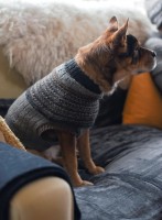 Собачий свитер спицами