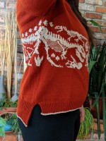 Вязаный пуловер со скелетами динозавров