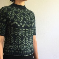 Пуловер с круговой кокеткой, связанный спицами