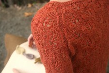 Вязание женщинам пуловера Autumns End