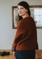 Пуловер отдельными деталями спицами